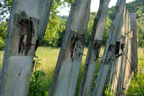photograph of broken white fence posts in summer